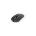 A4 Tech FG20 Gri Optik Kablosuz Mouse Teşhir