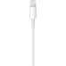 Apple Lightning 0.5 m ME291ZM/A Data ve Şarj Kablosu Outlet