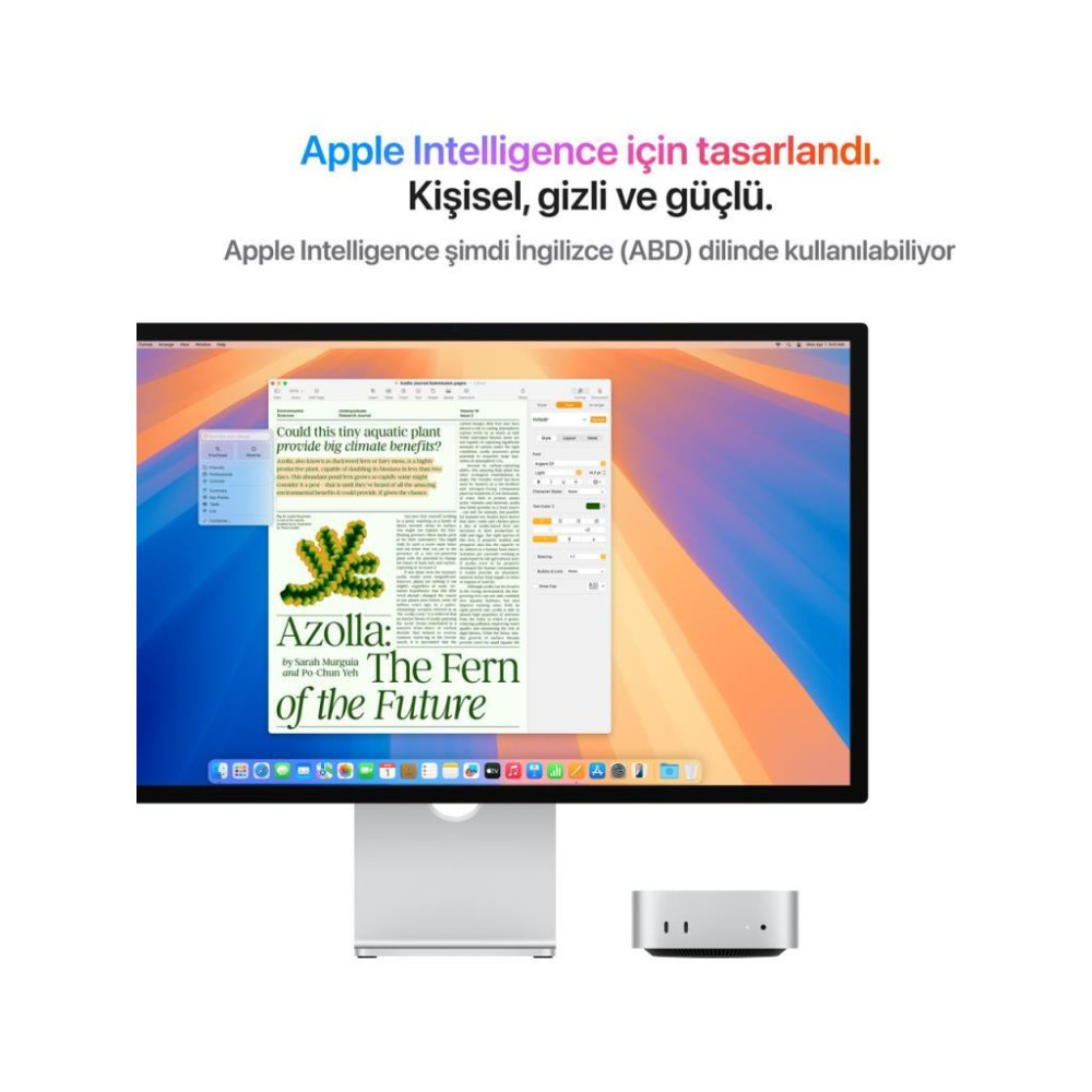 Mac Mini MU9E3TU/A Apple M4 16 GB 512 GB SSD Mini PC Outlet (Açıklamayı Okuyunuz)