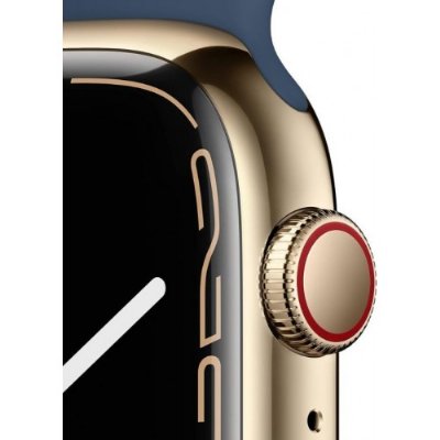 Apple Watch Series 7 GPS + Cellular 45mm Altın Paslanmaz Çelik Kasa ve Spor Kordon Akıllı Saat