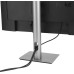 Asus ProArt PA329CRV 31.5" 5 ms 4K Pivot IPS 60 Hz Monitör - Outlet