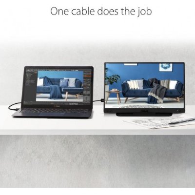 Asus ZenScreen MB166C 15.6'' 5 ms Full HD IPS 60 Hz Taşınabilir Monitör - Outlet
