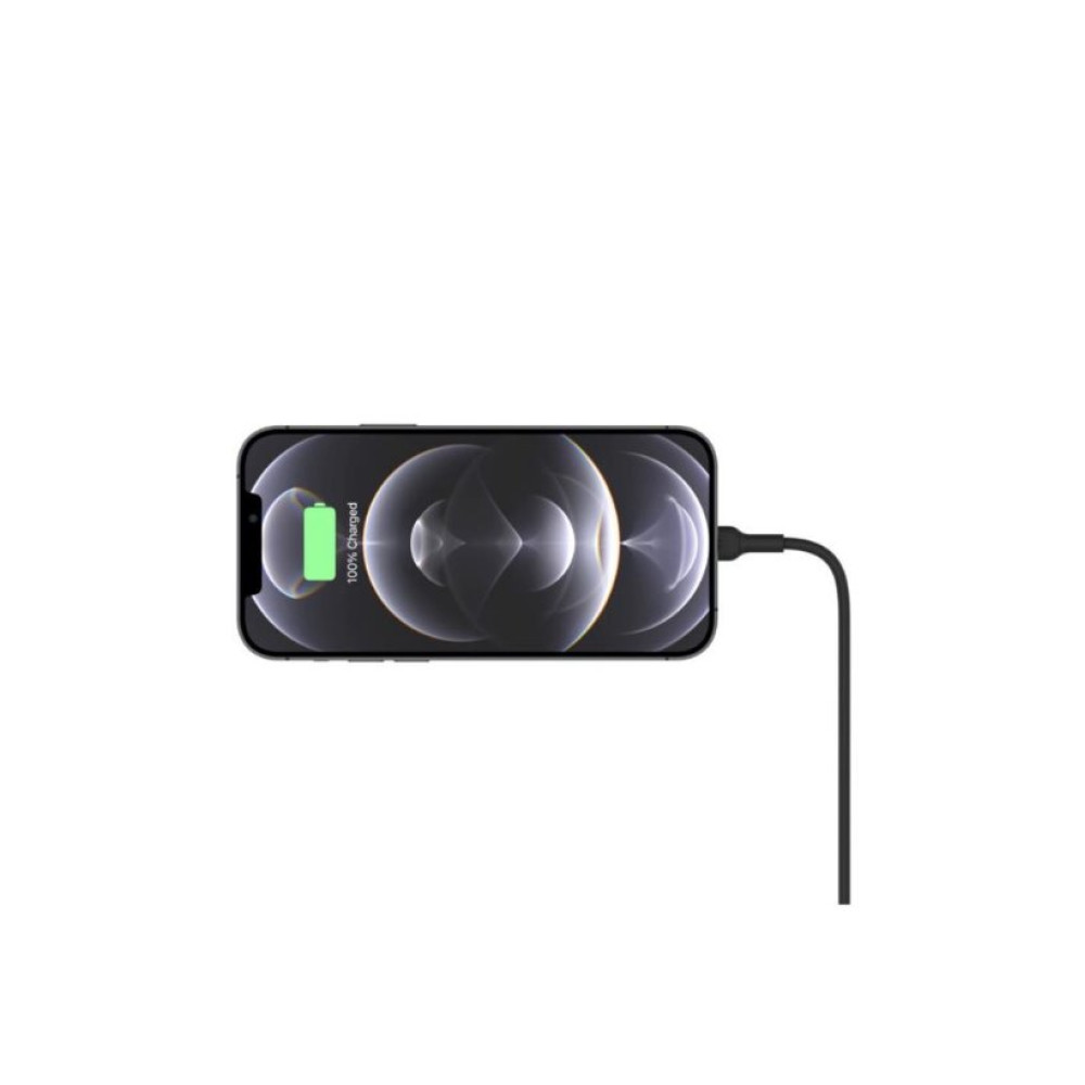 Belkin WIC004BTBK-NC Kablosuz Telefon Tutucu Teşhir