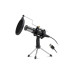 Dexim DMK7722 Elite PC/Laptop Professinonal Streaming USB Mikrofon Siyah