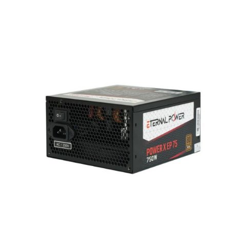 Eternal Pro X Aqua Siyah Oyuncu Kasası + 750W Güç Kaynağı (X EP75)