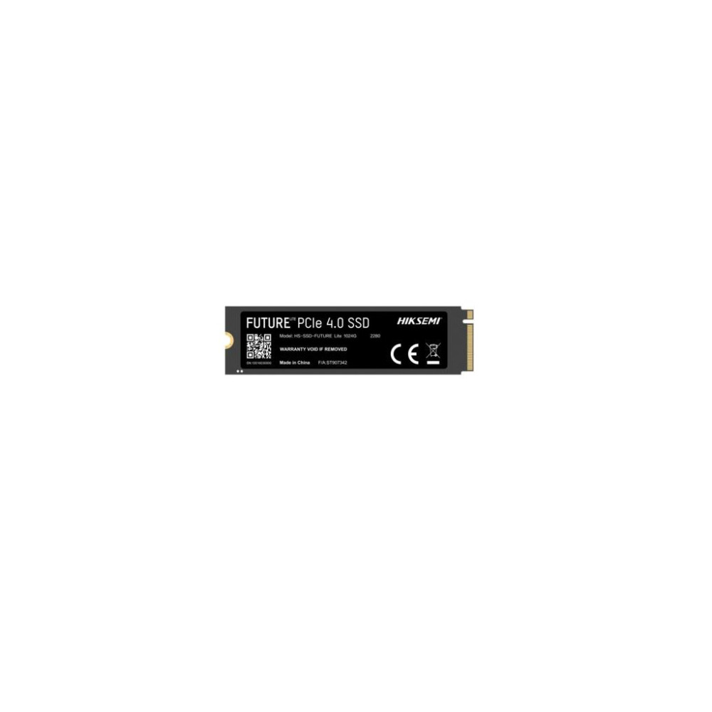 Hiksemi Future HS-SSD-FUTURE PCI-Express 4.0 1 TB M.2 SSD Teşhir