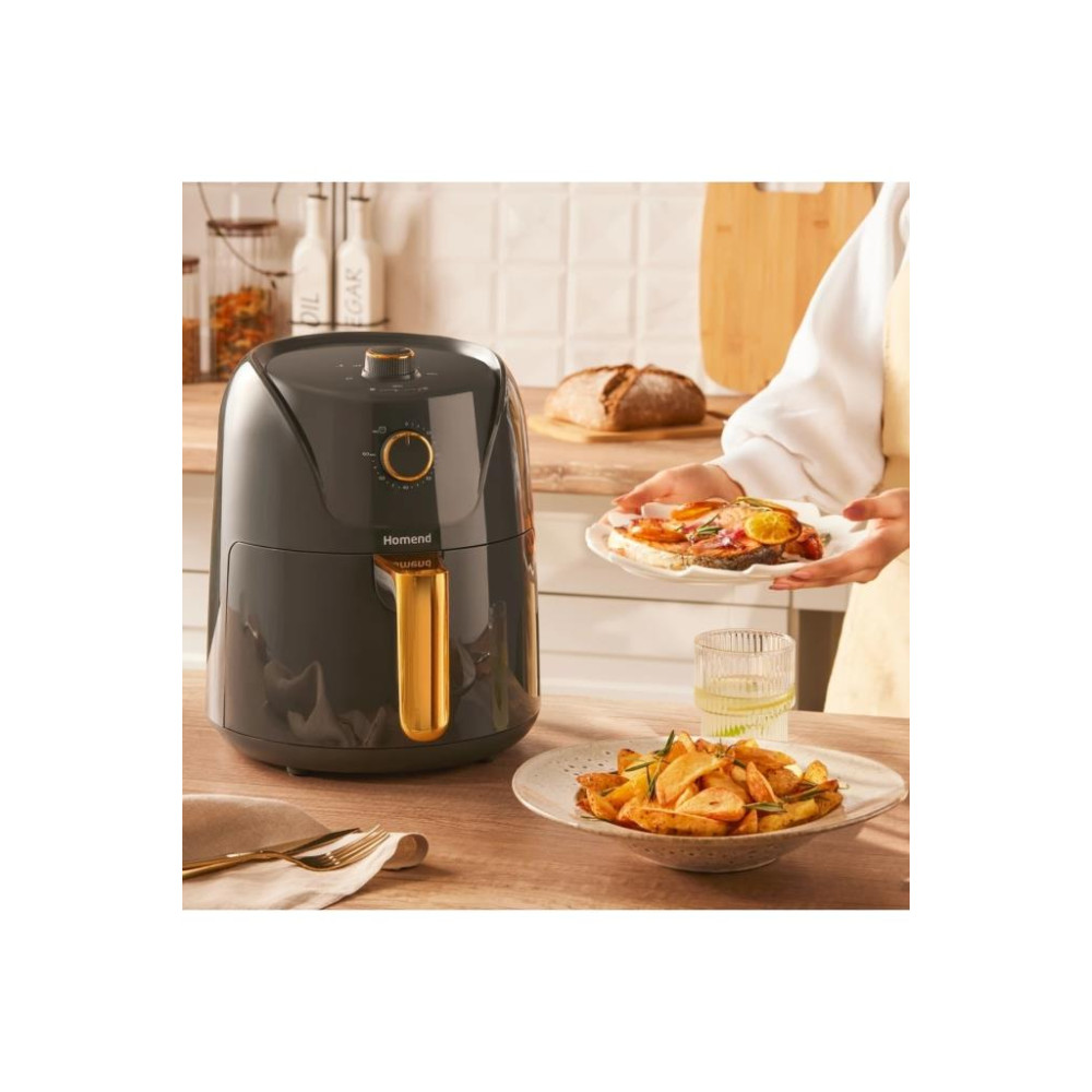 Homend Airfryday 2505H 4.3 lt Antrasit Yağsız Fritöz Teşhir