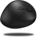 Inca IWM-325 Wireless Sessiz Optik Mouse Teşhir