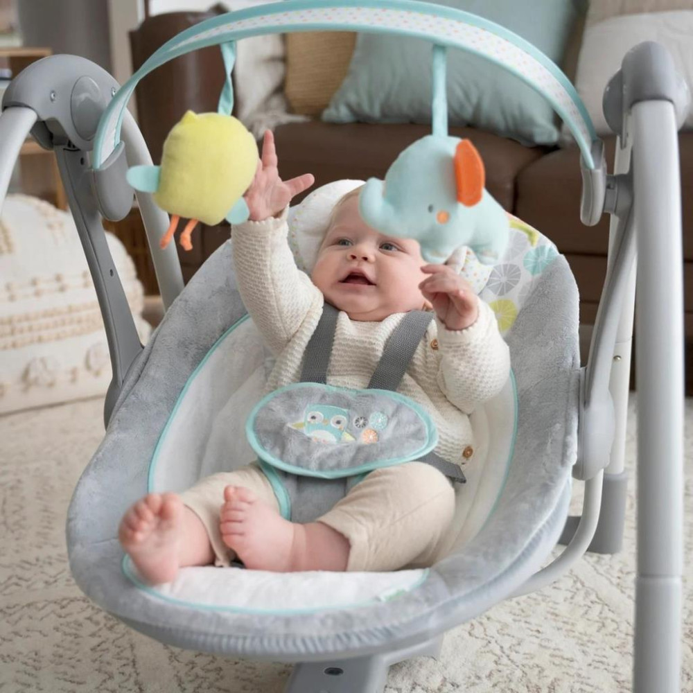 Ingenuity Swing'n Go Taşınabilir Salıncak