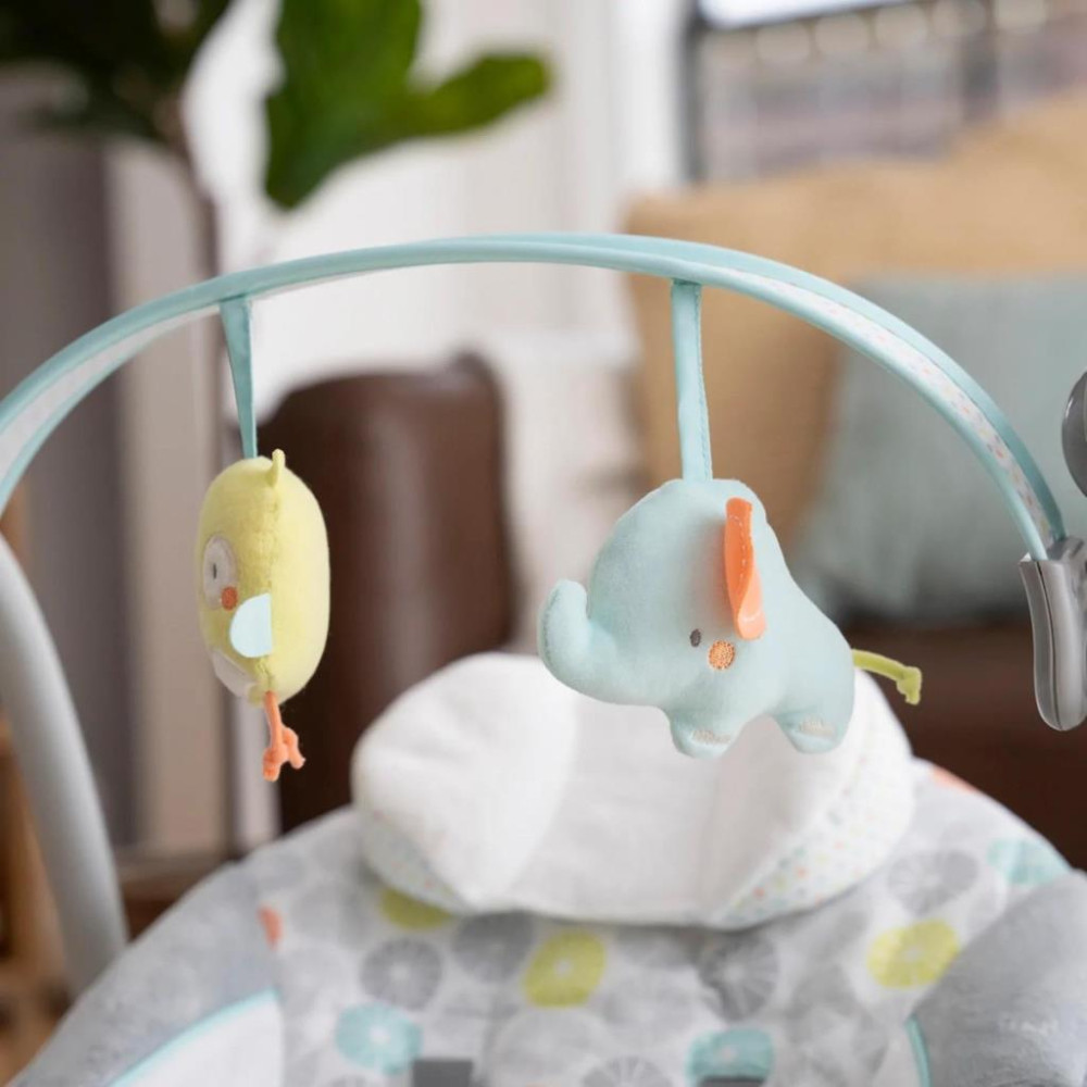 Ingenuity Swing'n Go Taşınabilir Salıncak