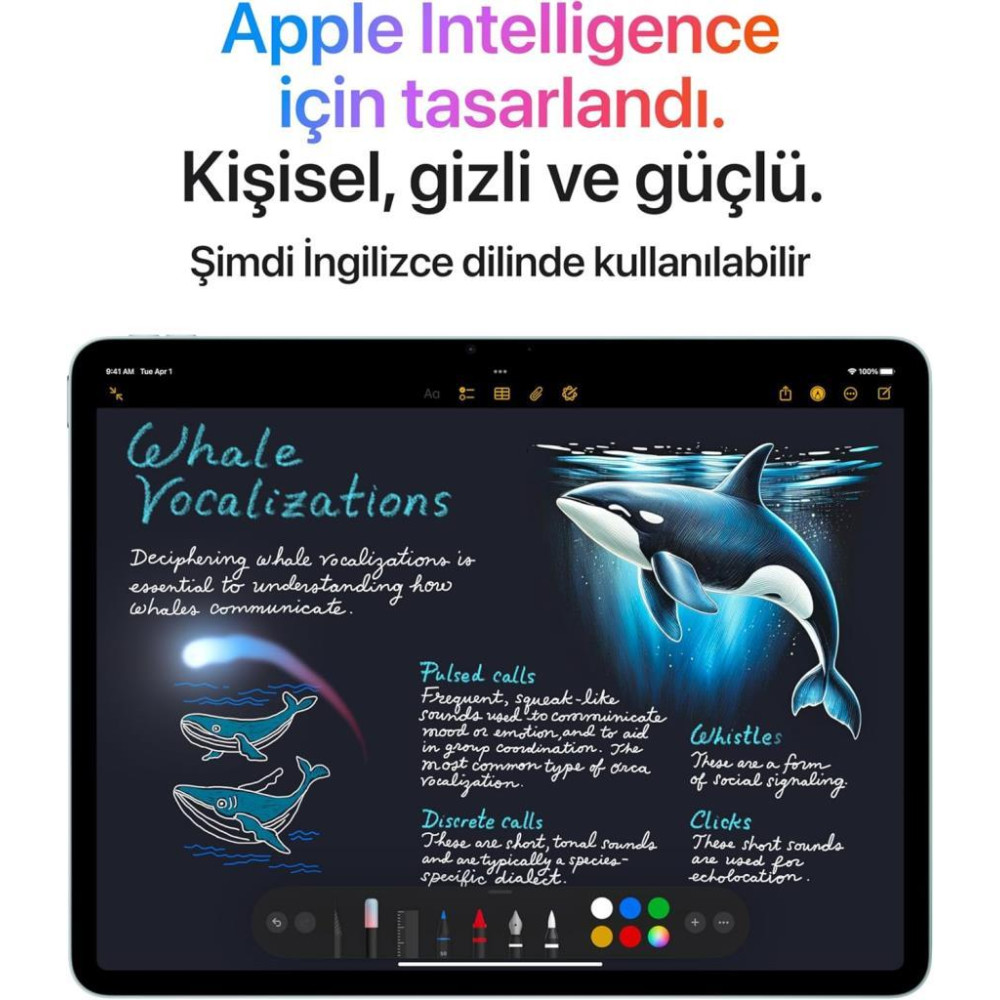 iPad Air M3 Wi-Fi 128 GB 13" MCNJ4TU/A Mavi Tablet Outlet (Açıklamayı Okuyunuz)