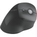 Kensington Pro Fit Ergo K75501WW Dikey Ergonomik Optik Kablosuz Mouse - Teşhir
