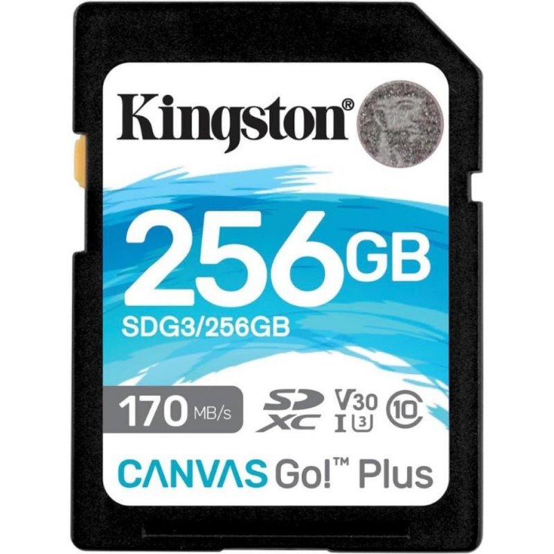 Kingston Canvas Go Plus SDG3/256GB Class 10 UHS-I U3 V30 256 GB Hafıza Kartı - Outlet