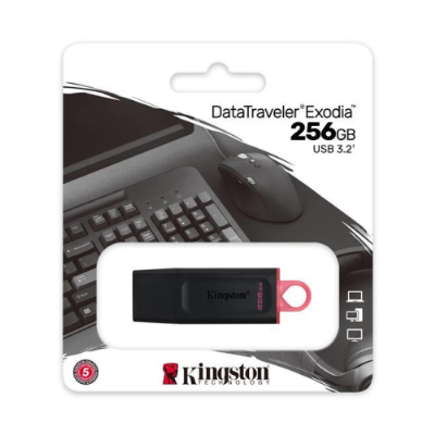 Kingston Exodia USB 3.2 Gen1 DTX/256GB 256 GB Flash Bellek - Outlet
