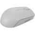 Lenovo 300 Kablosuz / Wireless Compact Mouse, Arktik Gri