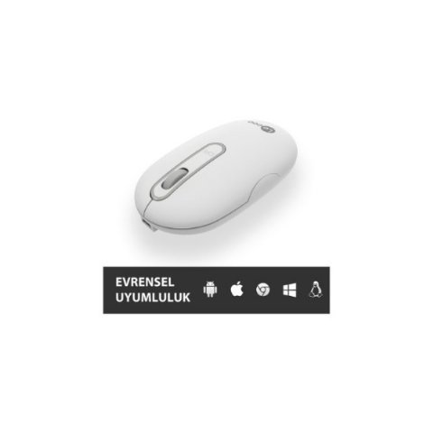Lenovo Lecoo WS207 Beyaz Şarjlı Ergonomik Optik Kablosuz Mouse - TESHİR