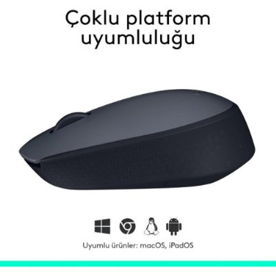 Logitech M170 910-004642 Optik Kablosuz Mouse