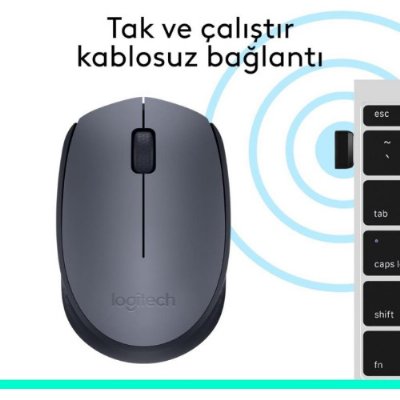 Logitech M170 910-004642 Optik Kablosuz Mouse