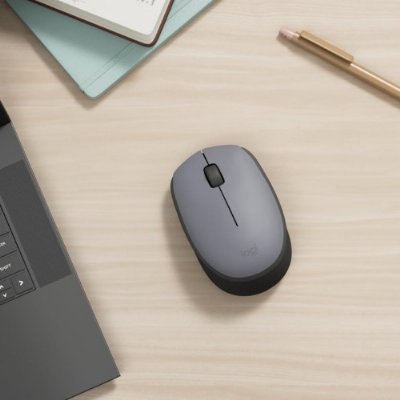 Logitech M170 910-004642 Optik Kablosuz Mouse - Teşhir