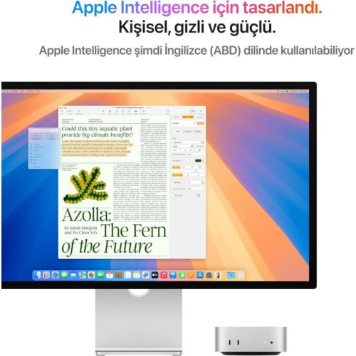 Mac Mini MU9D3TU/A Apple M4 16 GB 256 GB SSD Mini PC