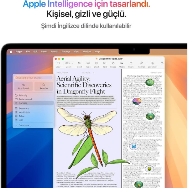 MacBook Air M4 16 GB 256 GB SSD 13.6" MW0W3TU/A Gümüş Outlet (Açıklamayı Okuyunuz)