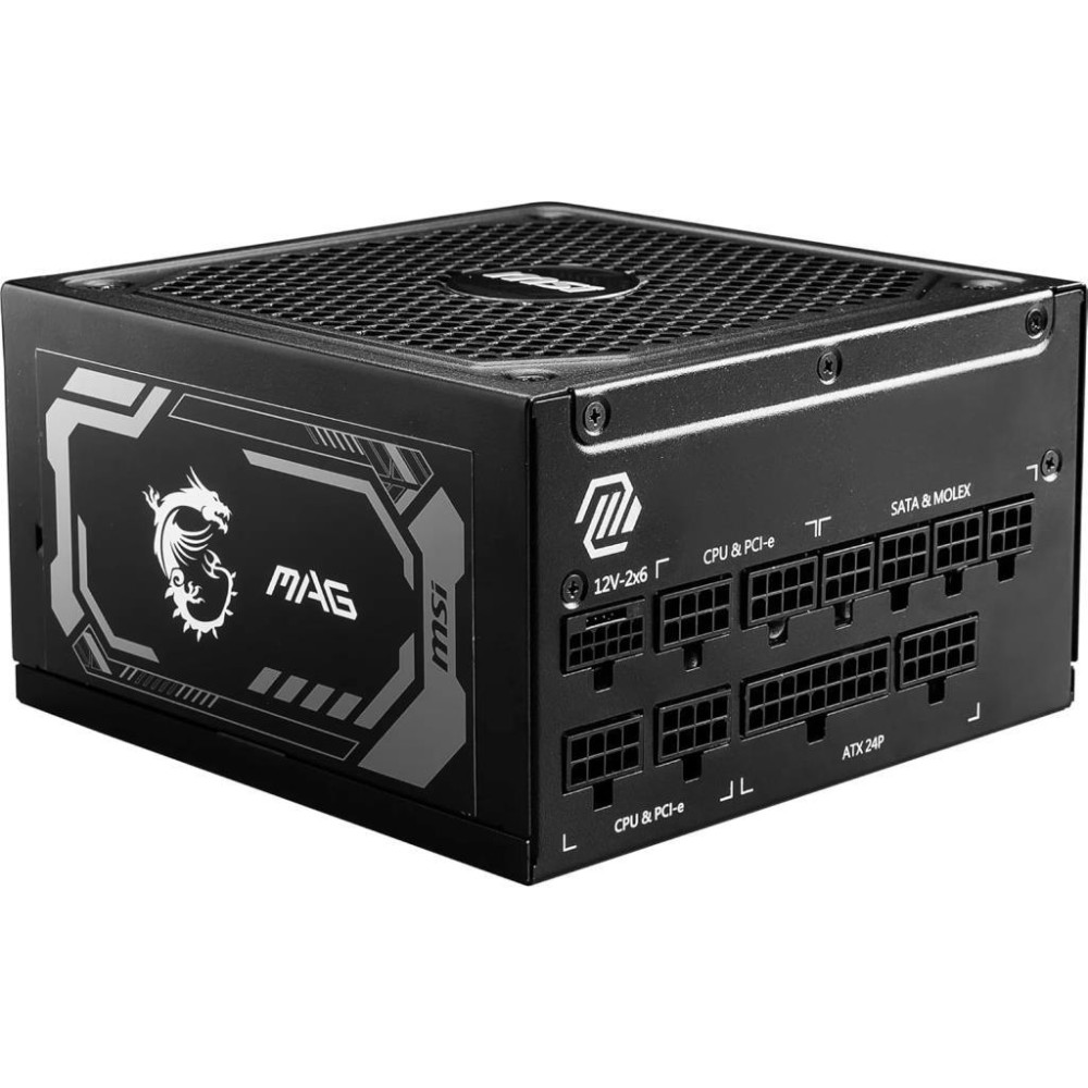 MSI MAG A1250GL Gen5 1250 W Power Supply Outlet