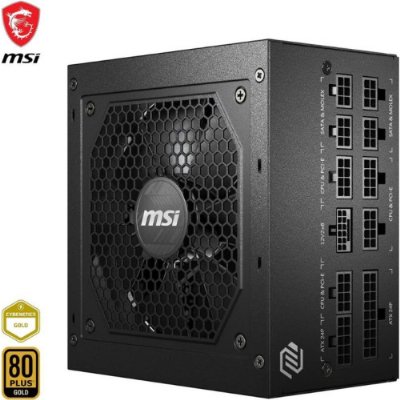 MSI MAG A750GL Gen5 750 W Power Supply - outlet