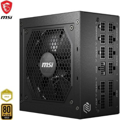 MSI MAG A850GL Gen5 850 W Power Supply - Outlet