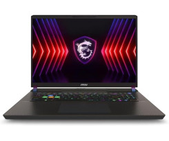 MSI Vector 17 HX A14VIG-879XTR i9-14900HX 32 ...