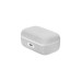 Sennheiser Momentum True Wireless 4 ANC TWS Gümüş Kulak İçi Bluetooth Kulaklık