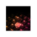 SteelSeries Apex 3 TKL RGB Kablolu Oyuncu Klavyesi Teşhir