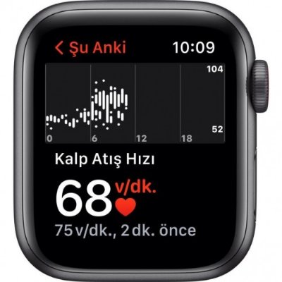 Apple Watch SE Nike GPS + Cellular 40mm Uzay Grisi Alüminyum Kasa ve Spor Kordon Akıllı Saat