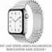 Microsonic Apple Watch Series 4 44mm Kordon Gümüş - TEŞHİR